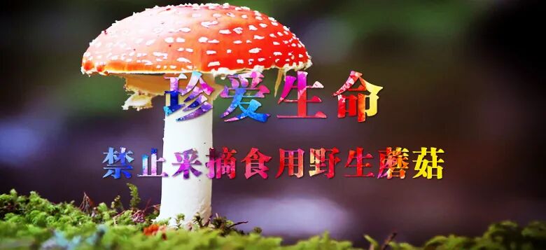 “悟全会精神 强市监本领 提清廉标杆”——青年干部征文比赛获奖作品展③_“悟全会精神 强市监本领 提清廉标杆”——青年干部征文比赛获奖作品展③_
