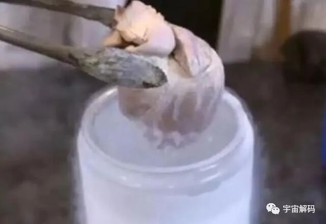 零下196℃的液氮有多可怕？的圖5