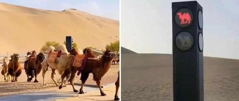 五一期间我国多地推出特色旅游线路