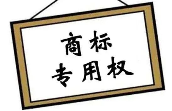 商标权的价值特征包括哪些?