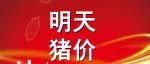 【明天猪价】2023.3.26全国猪价