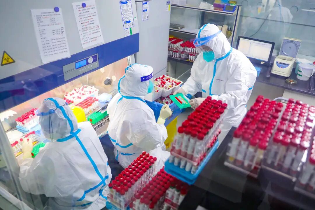 哈尔滨入境49天后复阳，权威报告揭100家核酸检测实验室不合格（组图） - 14
