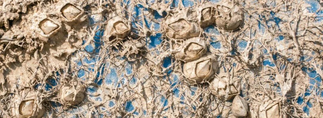 �й����·�����