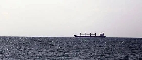 突破！刻赤海峡通了, 第一艘船已通过! 30多艘船正离港!...黑海贸易在恢复