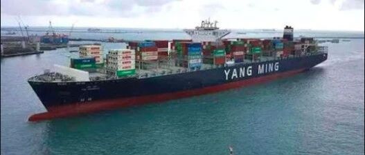 "尴尬了!" 1个月赚6亿! 直接秒杀前10年! ... 船公司: "前10年, 白干了!"