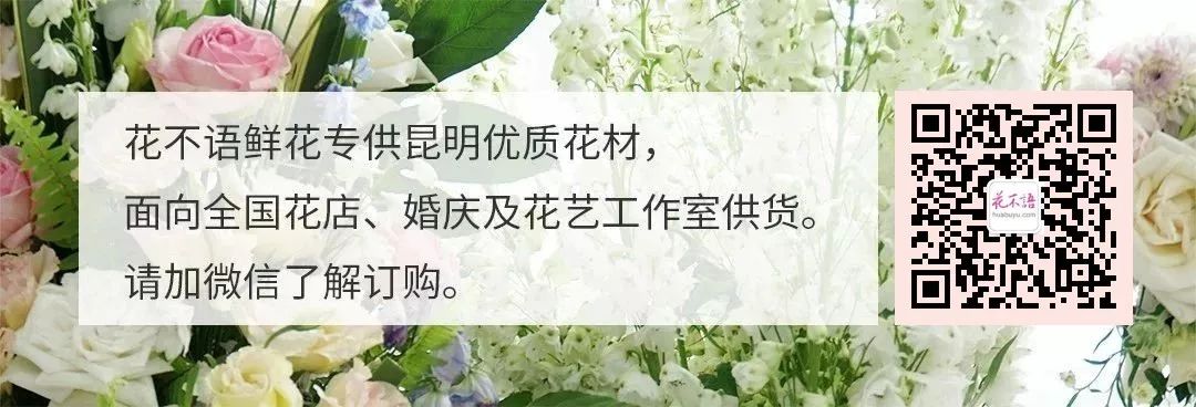 昆明优质鲜花批发价 10月5日 花艺师爱学习 微信公众号文章阅读 Wemp