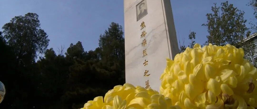 焦裕禄生平纪事：九死一生中的选择