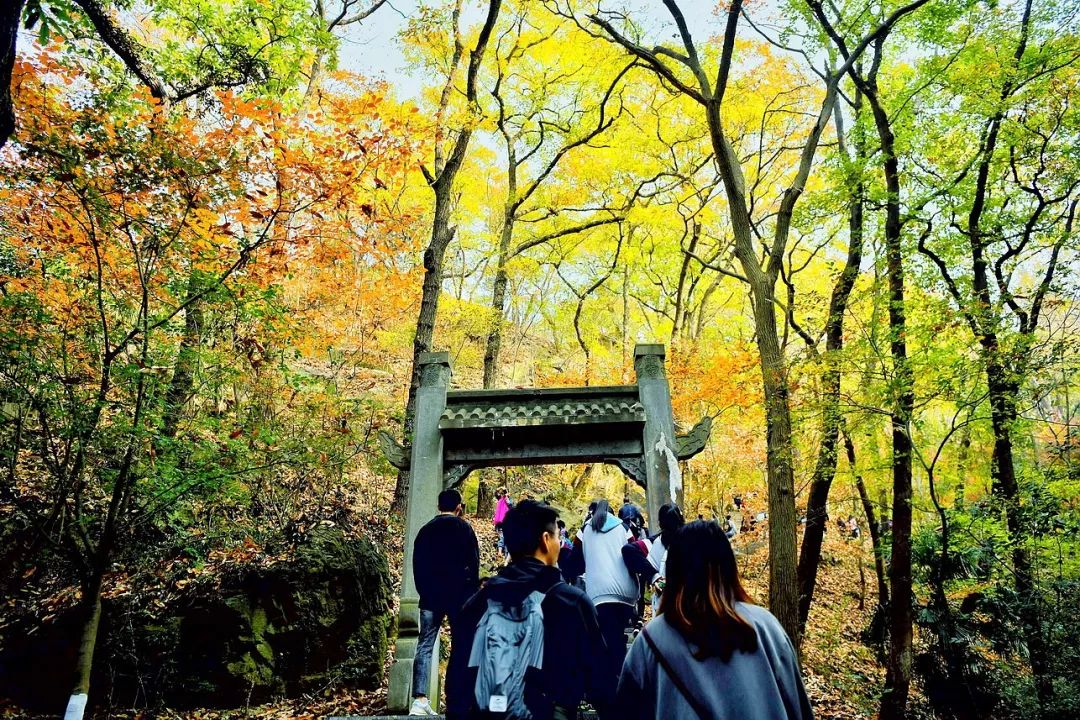 一座棲霞山，半部金陵史，秋末冬初賞紅楓 旅遊 第16張