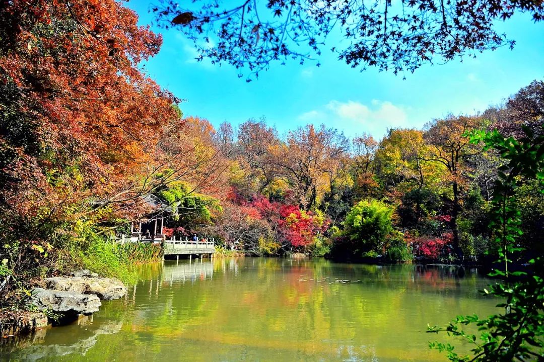 一座棲霞山，半部金陵史，秋末冬初賞紅楓 旅遊 第10張