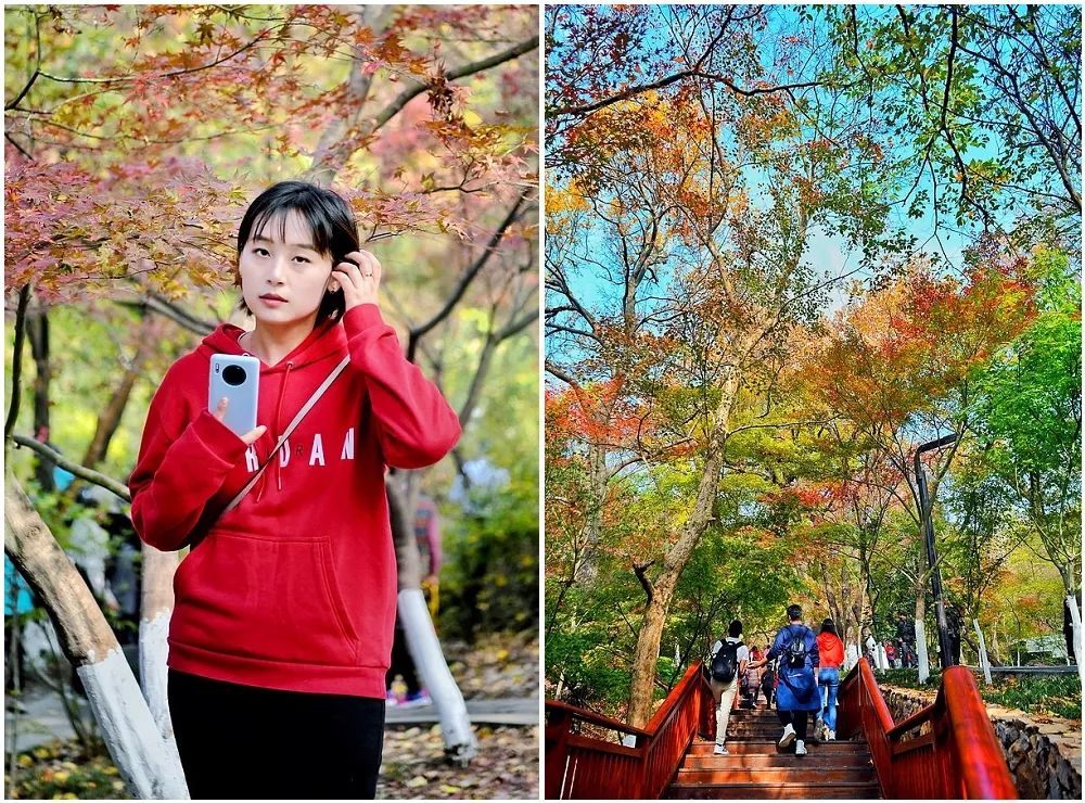 一座棲霞山，半部金陵史，秋末冬初賞紅楓 旅遊 第20張