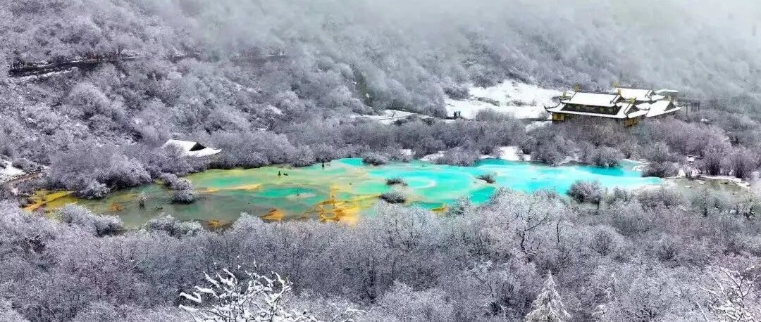 四川黄龙景区上万年钙化滩遭游客踩踏！不文明出游的你,真丑!