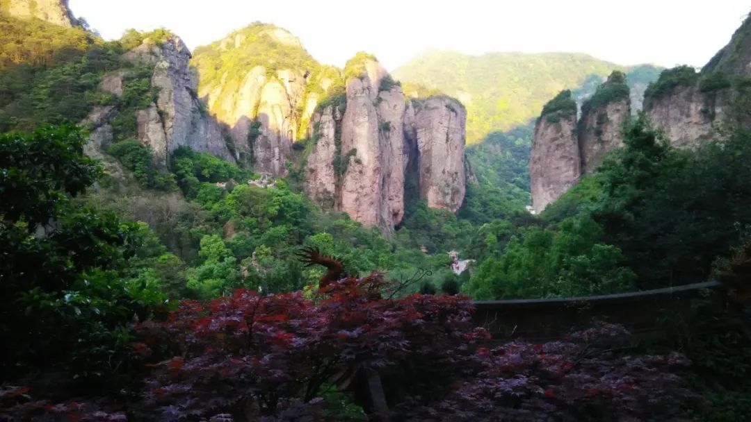 半價！打折！5·19中國旅遊日，一大波景區優惠來襲！ 旅遊 第5張