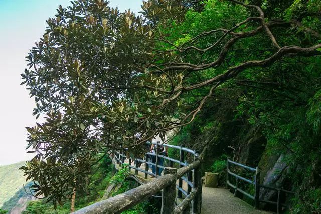 國內首例現代人工棧道，你知道在哪嗎？ 旅遊 第5張