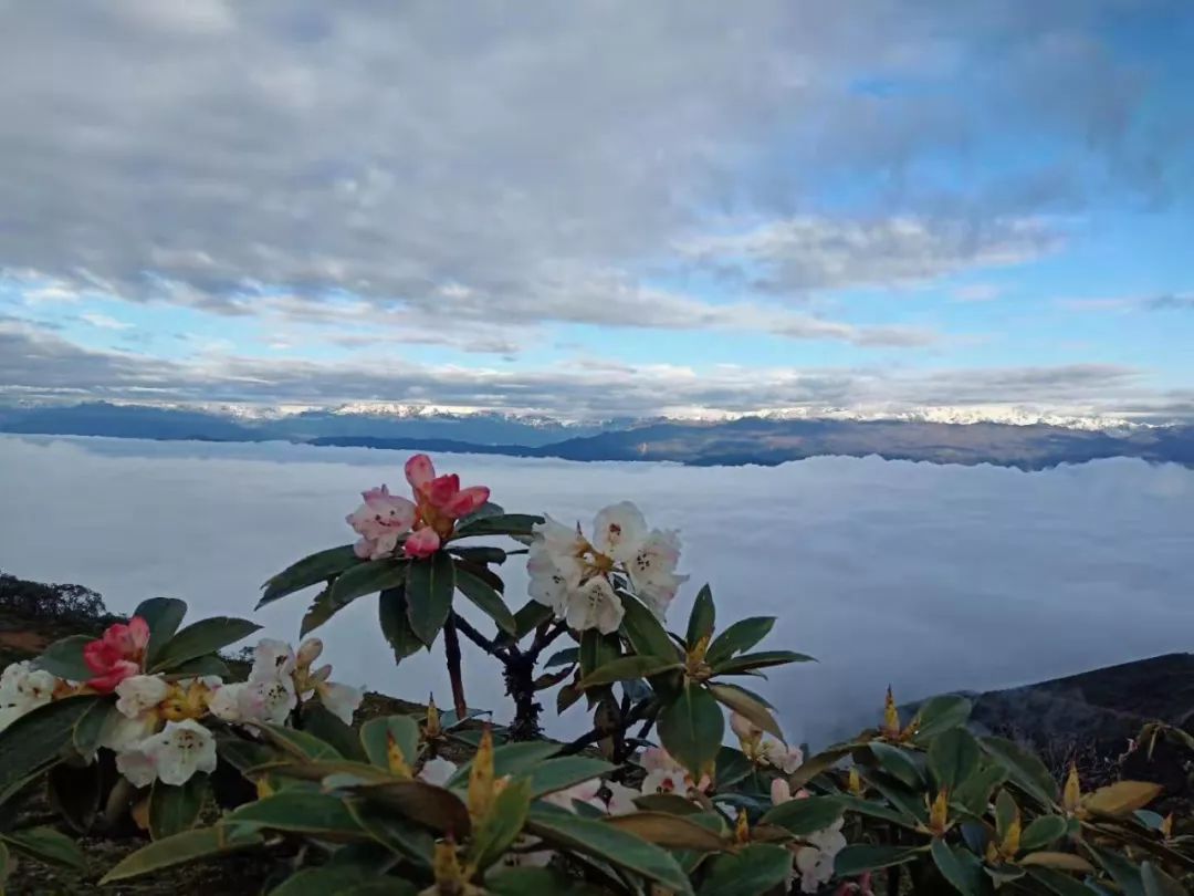 還沒沾上商業味道的華尖山，一個天空之境卻低調得讓人心疼！ 旅遊 第6張