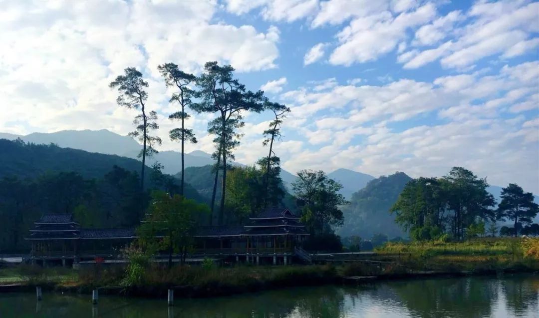 廣西千畝杜鵑花開放啦！登頂可望兩省三城，全國獨有，錯過再等一年！ 旅遊 第7張