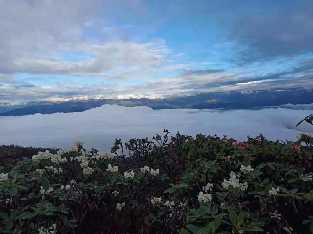 還沒沾上商業味道的華尖山，一個天空之境卻低調得讓人心疼！ 旅遊 第5張