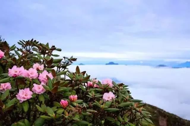 還沒沾上商業味道的華尖山，一個天空之境卻低調得讓人心疼！ 旅遊 第11張