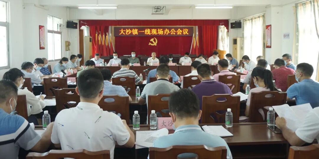 开平市领导深入大沙镇一线现场办公把脉乡村振兴工作