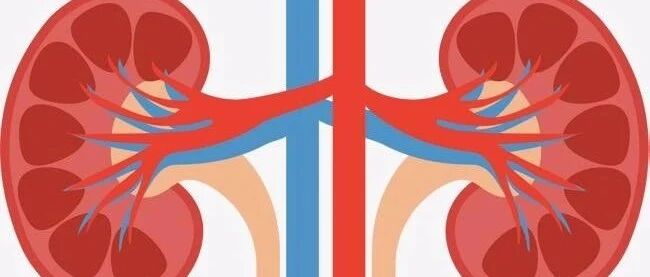 日常养肾更重要，记住，做好4件事