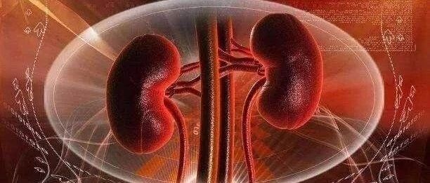 4个小方法，助你护肾养肾