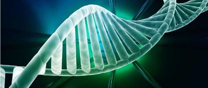 系统性红斑狼疮会遗传吗？