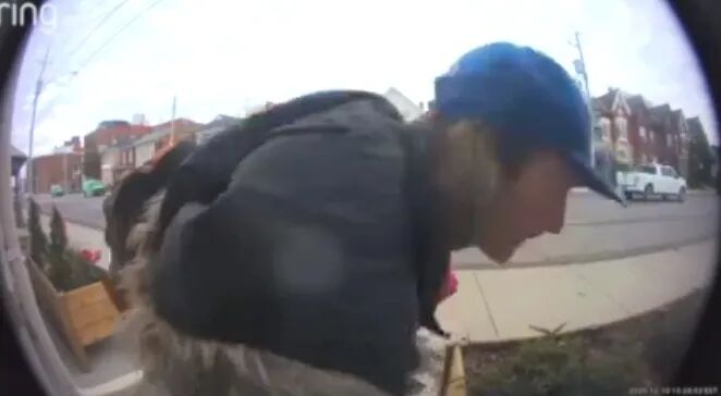 笑哭！多伦多笨贼偷快递被现场抓包，逃跑时车卡在雪里了...（视频/组图） - 17