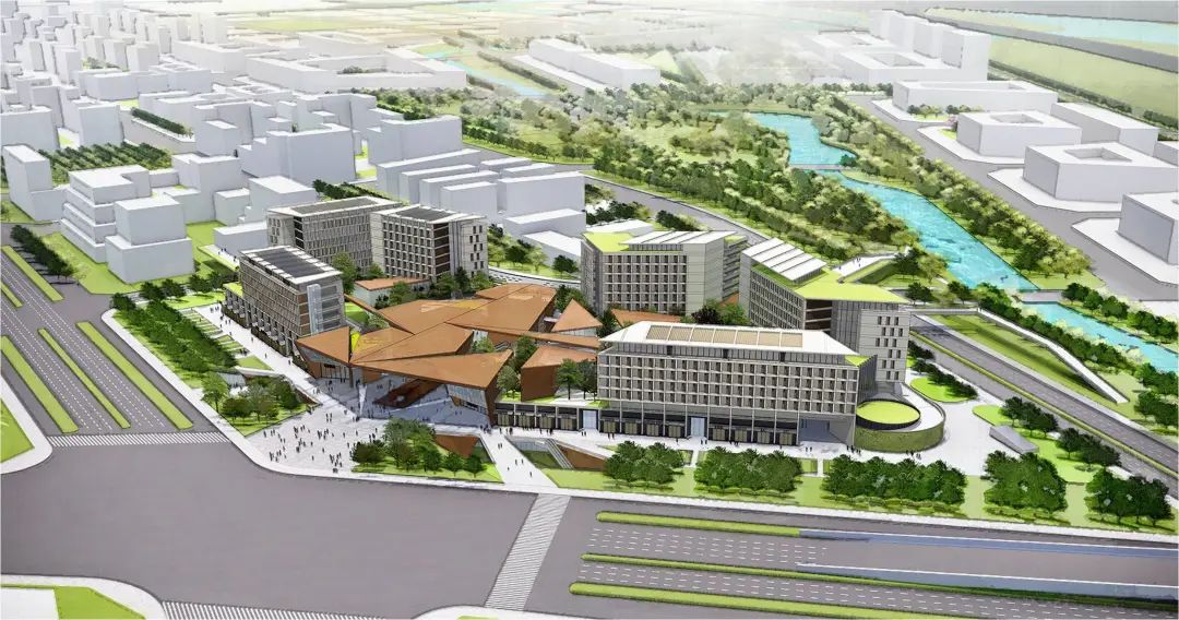 大望路中學_北京大望路中學官網_北京市大望路中學改名為