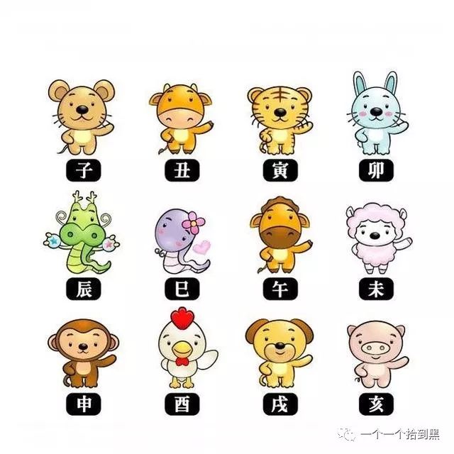 半夜三更是什么生肖动物_半夜的生肖_十二生肖半夜几个生肖