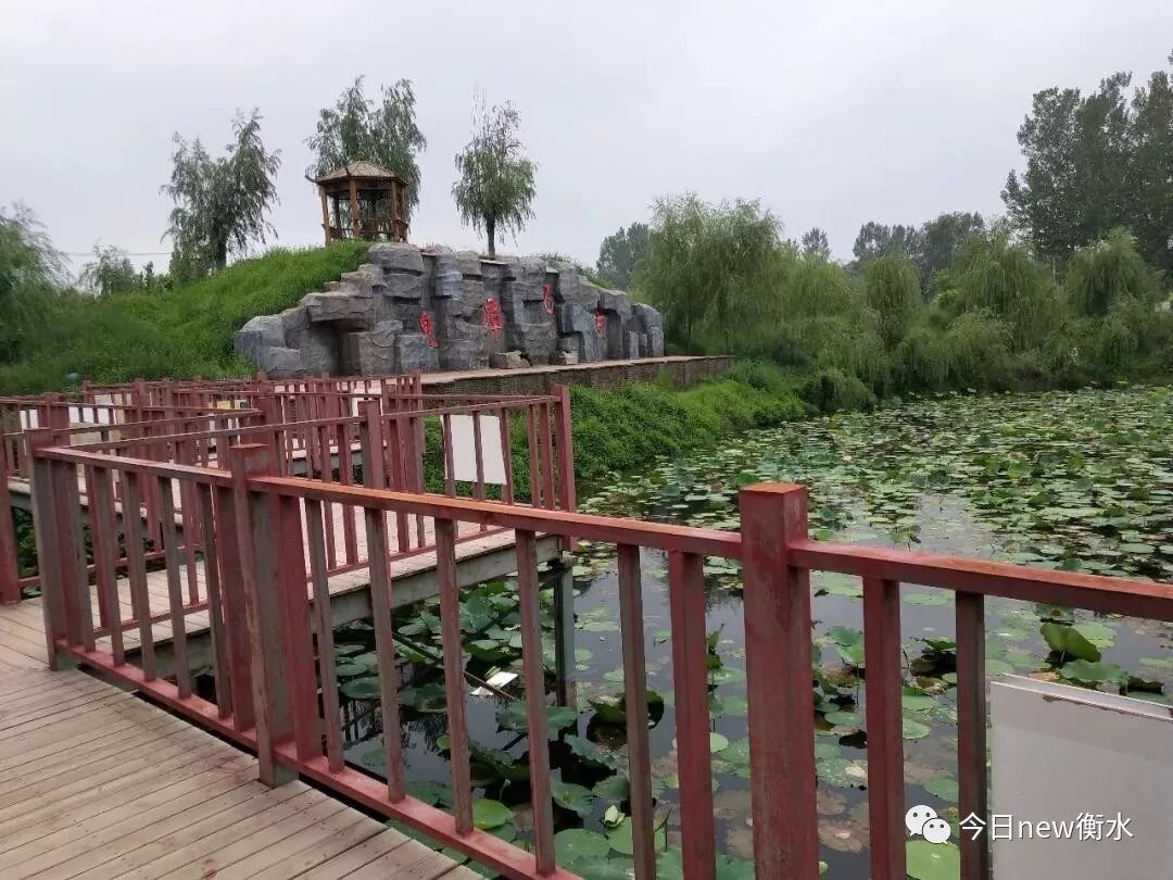 衡水史上规模最大的体育盛会"本周六在奥体中心启幕!