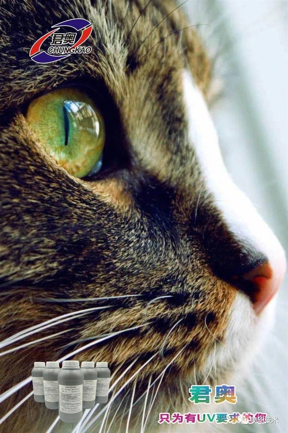 6090平板打印机厂家直销、诚招代理商：UV平板打印机、服装直喷机、酒瓶子彩印机、金银卡UV彩印机。李生15902065548「详细讲解」(图10)