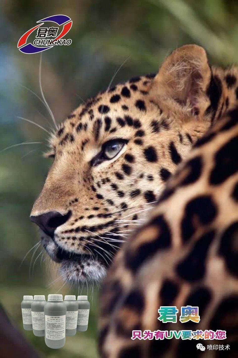 6090平板打印机厂家直销、诚招代理商：UV平板打印机、服装直喷机、酒瓶子彩印机、金银卡UV彩印机。李生15902065548「详细讲解」(图11)