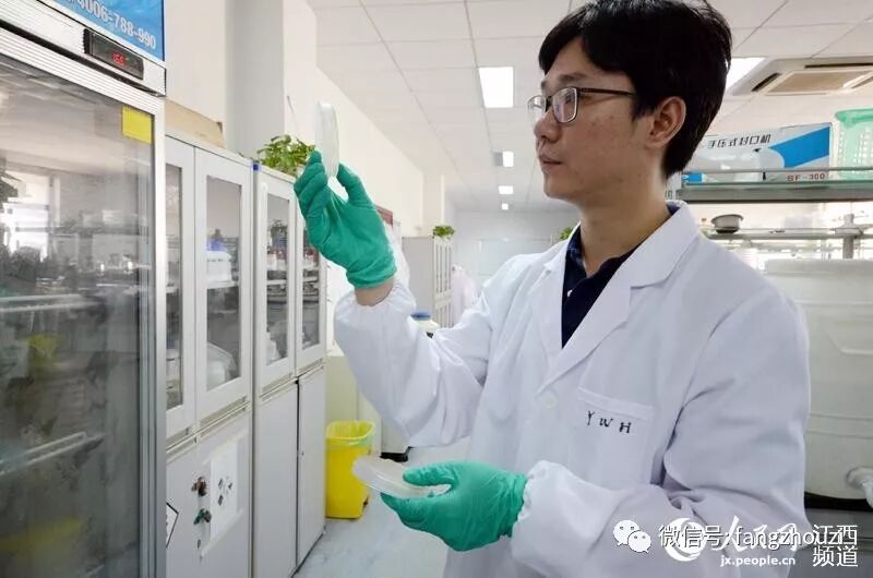 方舟子打假千人计划南昌大学张进冒用他人文章， 却失误，已经道歉。是张进本人文章
