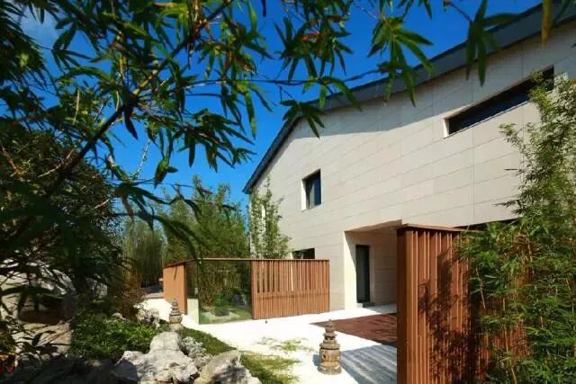 梦碎P2P 戴志康的浮沉之路