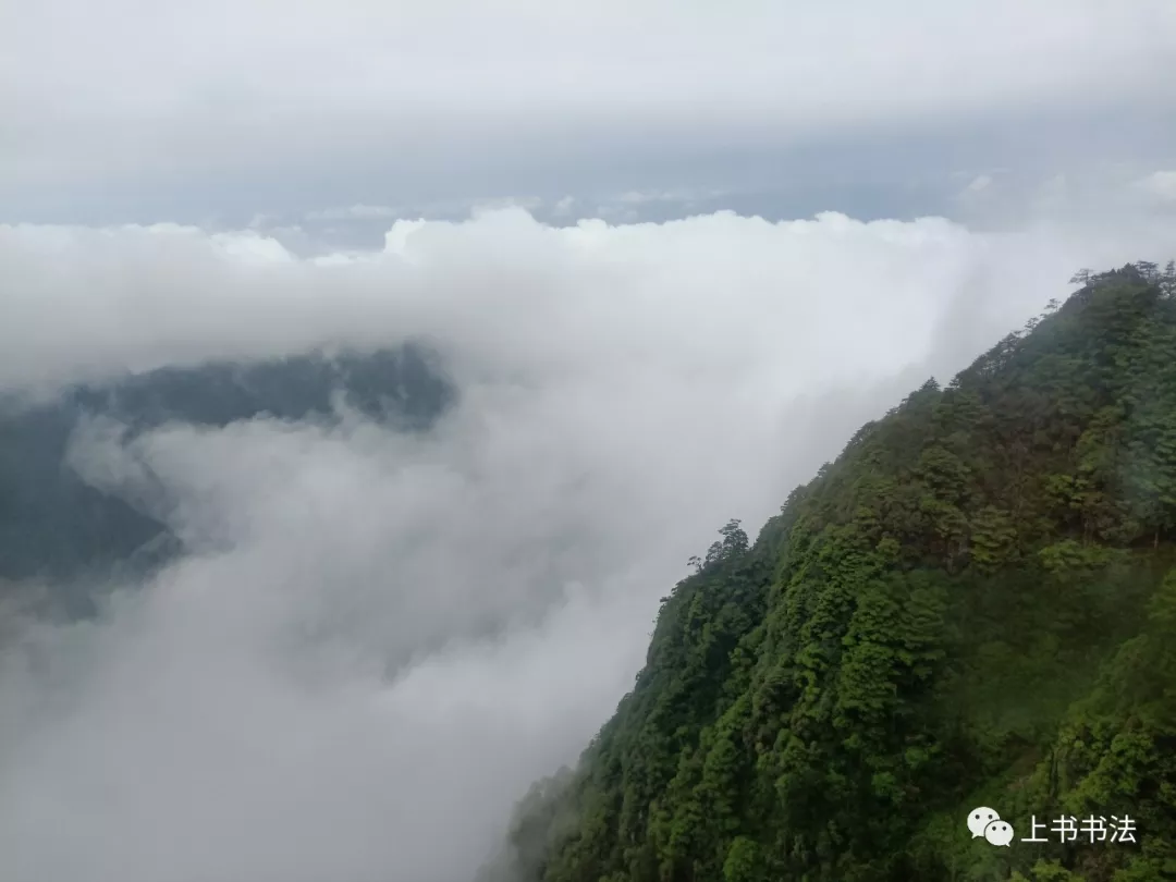 搞事情!我的微信运动终于占领朋友圈第一名 搞事情!我的微信运动终于占领朋友圈第一名