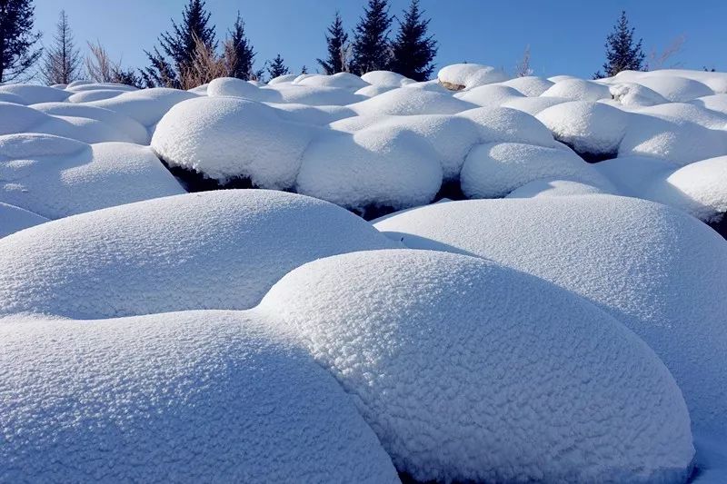 呼倫貝爾的雪盡顯風韻之美河邊的冰花晶瑩剔透