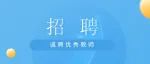 编制岗：中小幼教师招聘