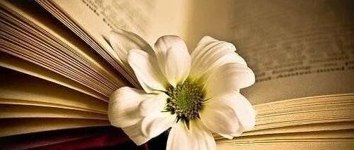 职称工资，即将退出历史舞台！将被工龄工资取代... ​