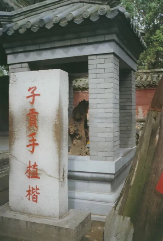 孔林——墓地文化研究 | 明代碑刻（八）