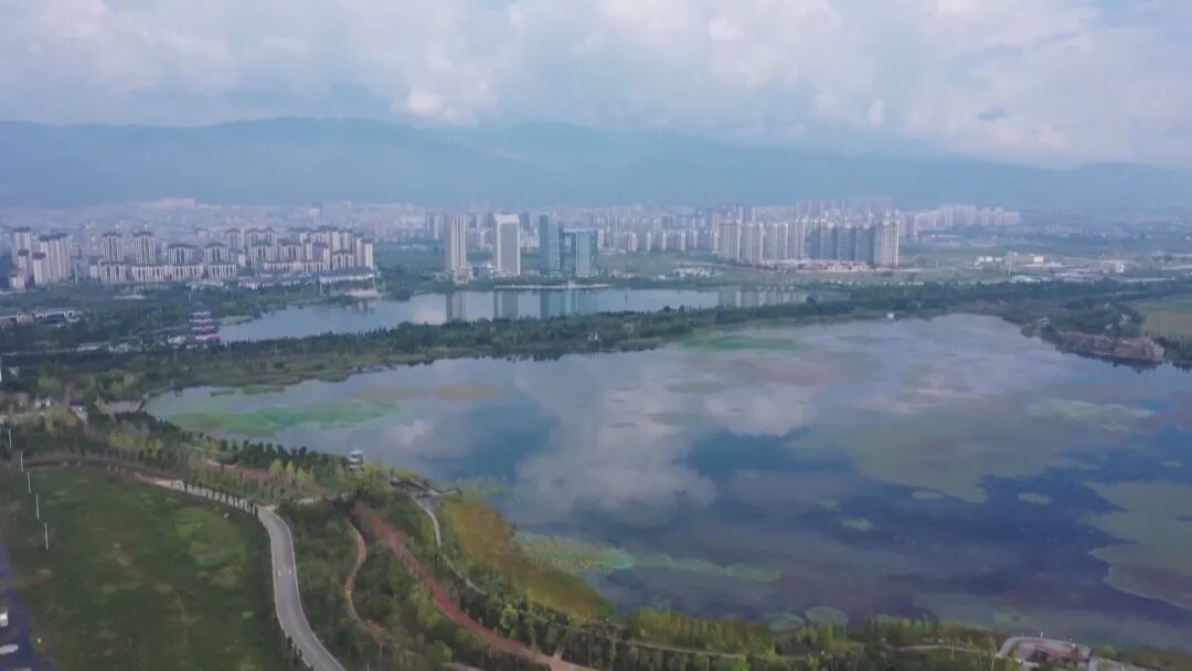 _生态木效果图_保山日报汪李文化大讲堂