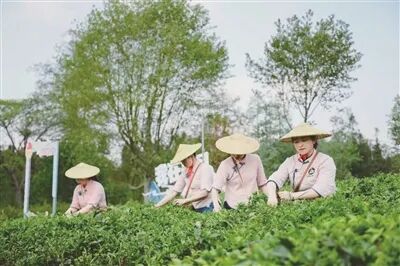 新闻+1° | 老韵融新潮 茗香走四方_新闻+1° | 老韵融新潮 茗香走四方_