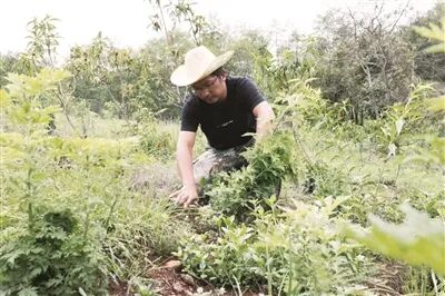 保山：匠心守非遗 薪火代代传_保山：匠心守非遗 薪火代代传_