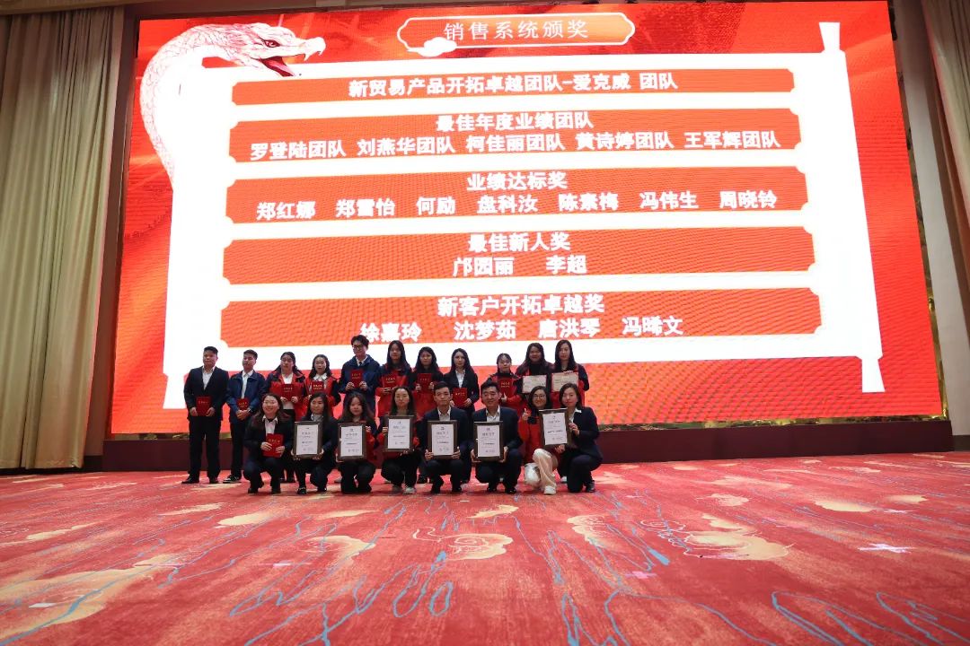 销售系统奖.JPG