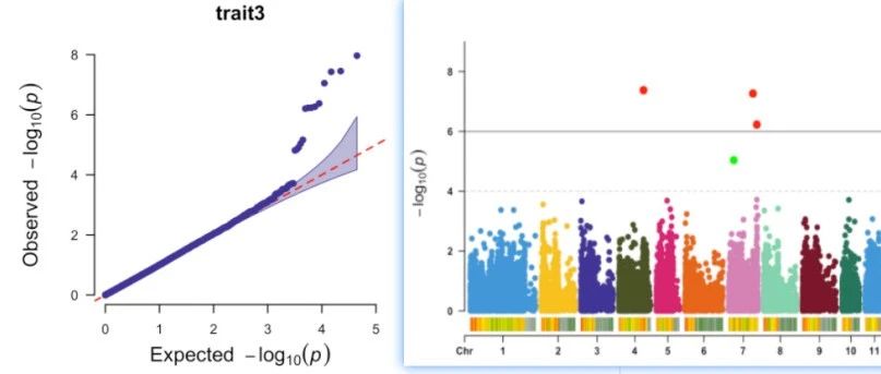 R语言如何绘制GWAS的曼哈顿图和QQ图(gwas,可视化) - AI牛丝