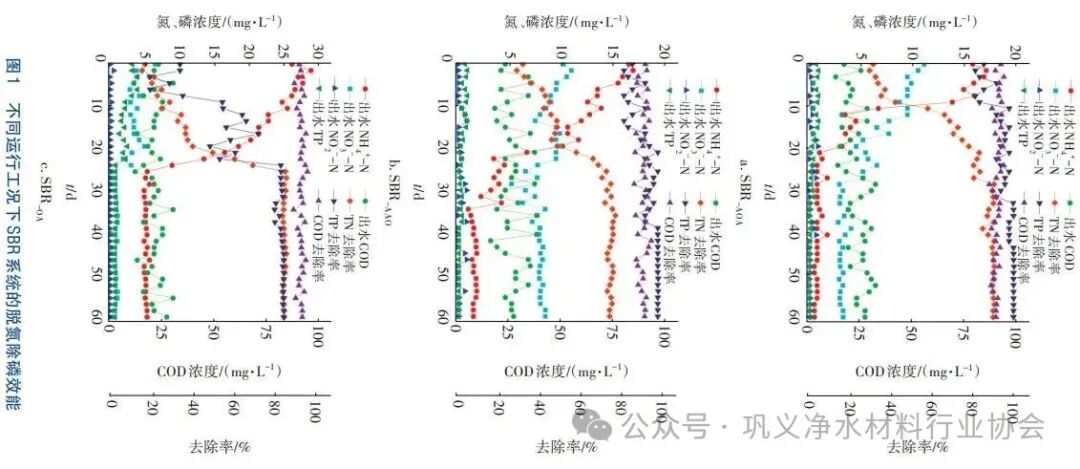 碳源形态与分布对脱氮除磷效果的影响