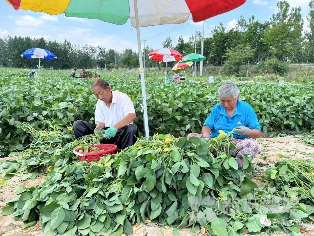 农民致富经_致富农民李文龙_致富农民事迹登报纸