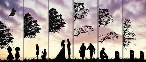 过年了，论一个不招人待见的大人是如何炼成的？