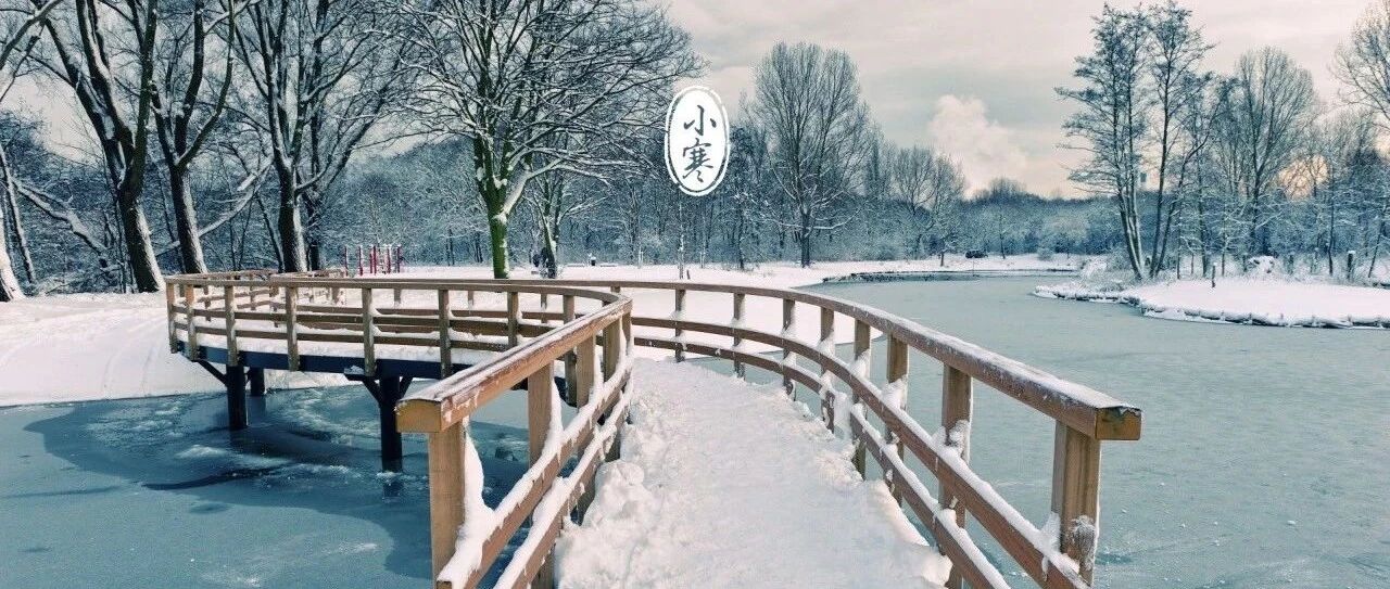 今日小寒：年味渐浓 游子思归