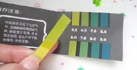 【答疑解惑】pH計和pH試紙測試結(jié)果差距很大，咱們信哪個？