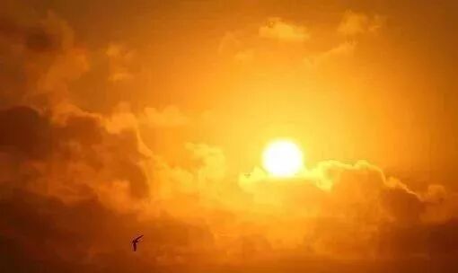 手脚冰凉、夜尿多、胃寒？阳气不到的地方就是病（含养阳气方法）